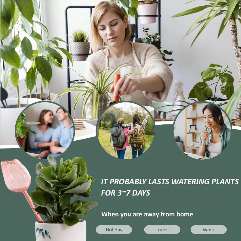 Pink Tulip Plant Watering Ball - огляд і ціна Plant Sensor