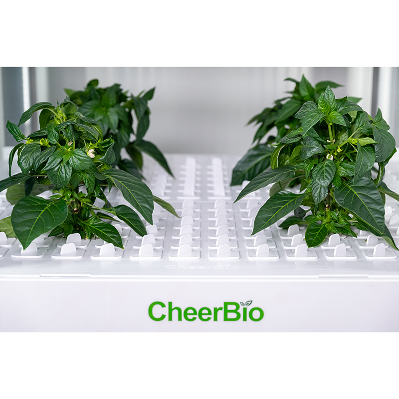 New   Intelligent Planting Sys - огляд і ціна Indoor Garden Kit