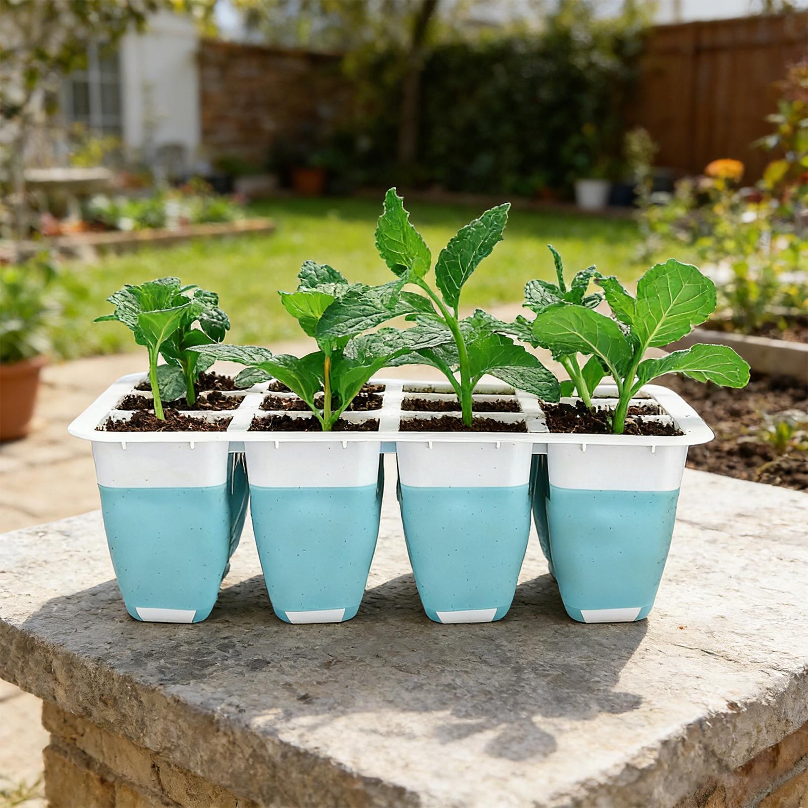 5 Pack Silicone Seed Starter T - огляд і ціна Indoor Garden Kit