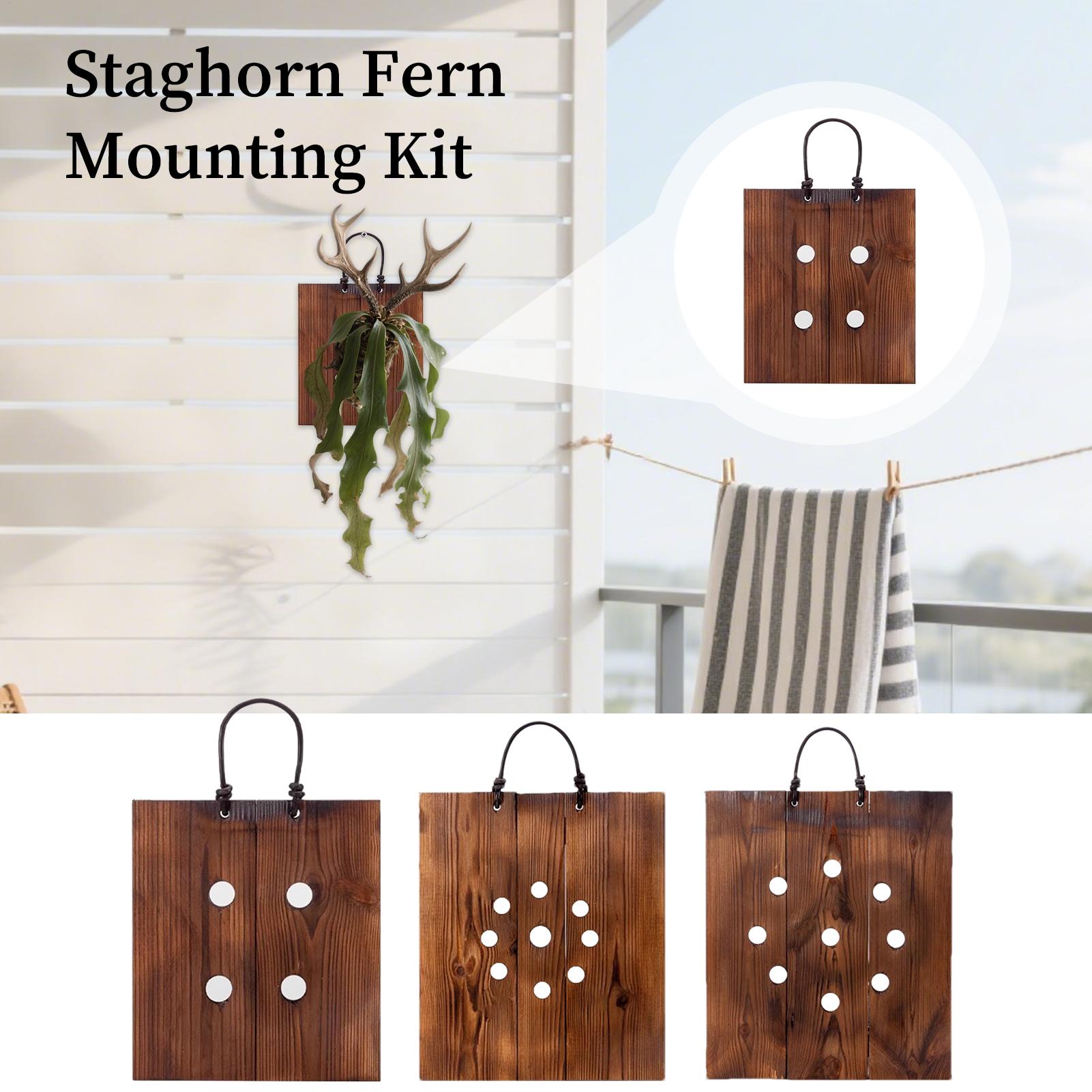 Staghorn Fern Wall Mount Board - огляд і ціна Indoor Garden Kit