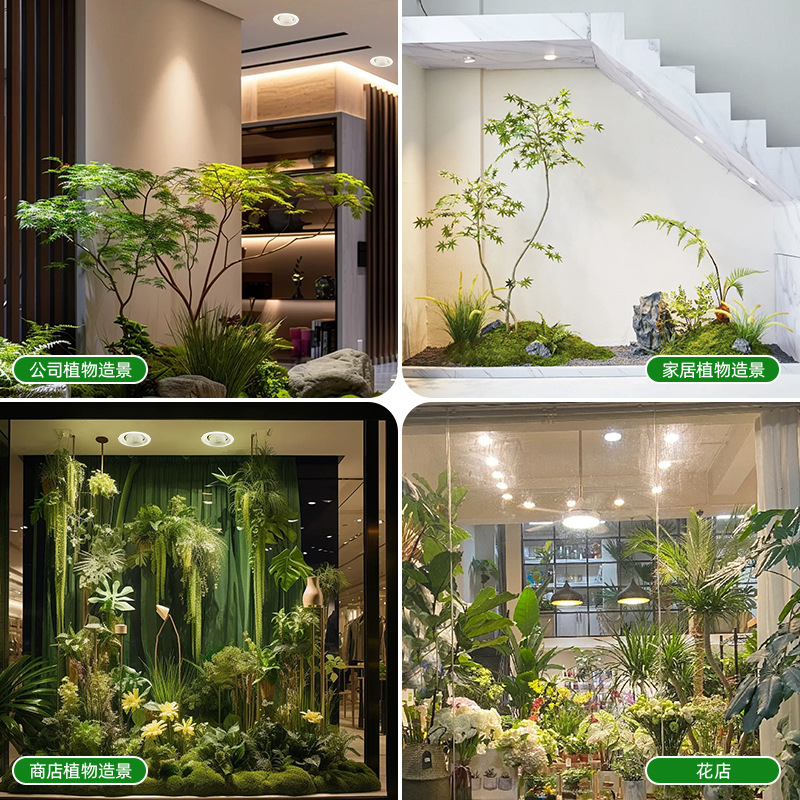 Full Spectrum Dimmable Focus L - огляд і ціна Plant Grow Light Full Spectrum